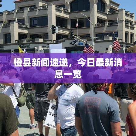 橙縣新聞速遞，今日最新消息一覽