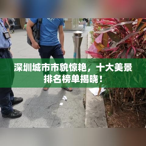 深圳城市市貌驚艷，十大美景排名榜單揭曉！