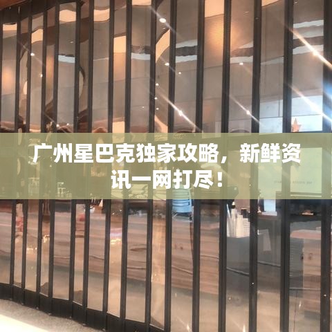 廣州星巴克獨家攻略，新鮮資訊一網(wǎng)打盡！