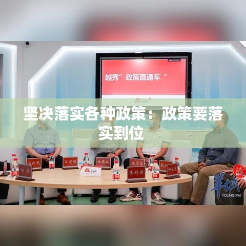 堅(jiān)決落實(shí)各種政策：政策要落實(shí)到位 