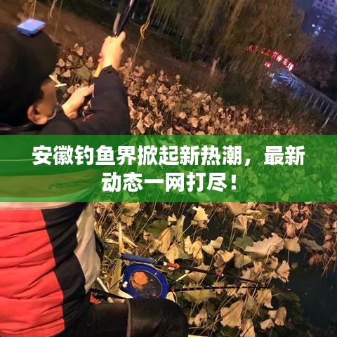 安徽釣魚界掀起新熱潮，最新動態(tài)一網打盡！