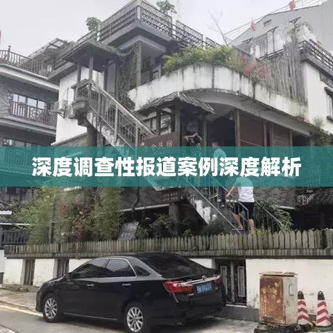 深度調查性報道案例深度解析