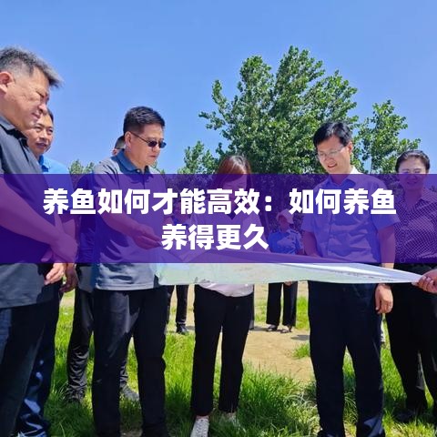 養(yǎng)魚如何才能高效：如何養(yǎng)魚養(yǎng)得更久 