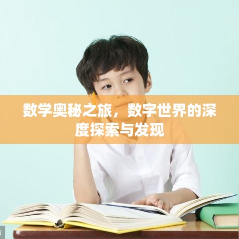 數學奧秘之旅，數字世界的深度探索與發(fā)現