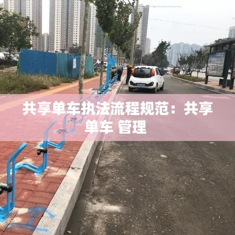 共享單車執(zhí)法流程規(guī)范：共享單車 管理 