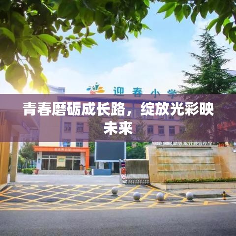 青春磨礪成長路，綻放光彩映未來