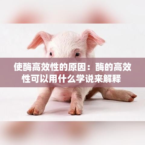 使酶高效性的原因：酶的高效性可以用什么學(xué)說來解釋 