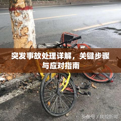 突發(fā)事故處理詳解，關鍵步驟與應對指南