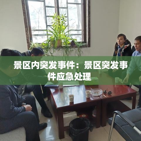 景區(qū)內(nèi)突發(fā)事件：景區(qū)突發(fā)事件應(yīng)急處理 