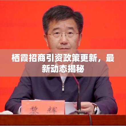 棲霞招商引資政策更新，最新動(dòng)態(tài)揭秘