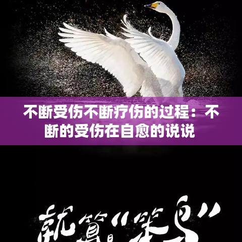 不斷受傷不斷療傷的過程：不斷的受傷在自愈的說說 