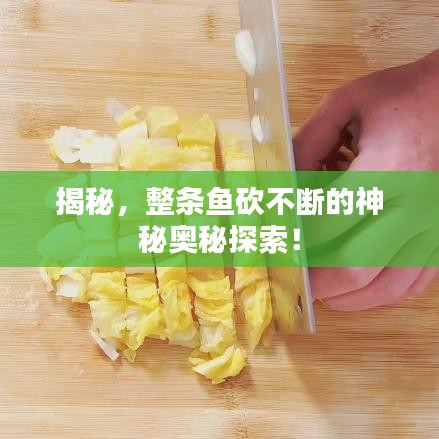 揭秘，整條魚(yú)砍不斷的神秘奧秘探索！