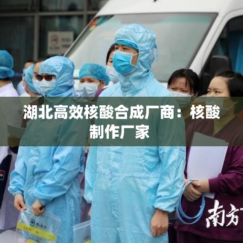 湖北高效核酸合成廠商：核酸制作廠家 