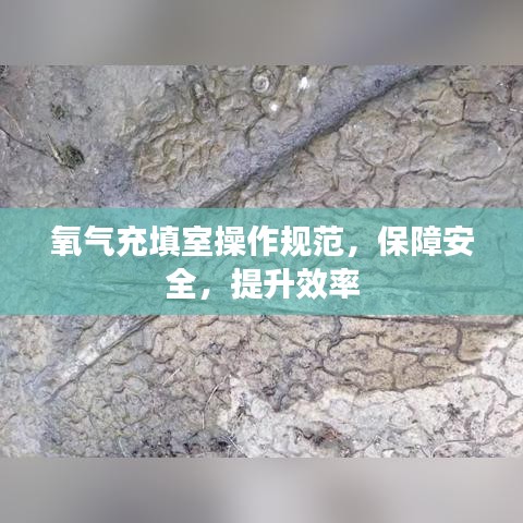 氧氣充填室操作規(guī)范，保障安全，提升效率