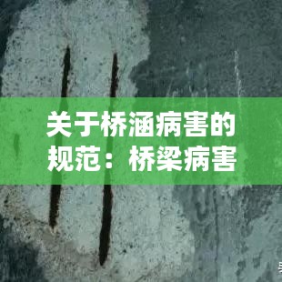 關(guān)于橋涵病害的規(guī)范：橋梁病害和處理方法 