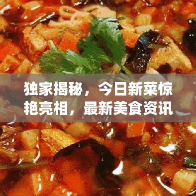獨(dú)家揭秘，今日新菜驚艷亮相，最新美食資訊與獨(dú)家圖片一網(wǎng)打盡