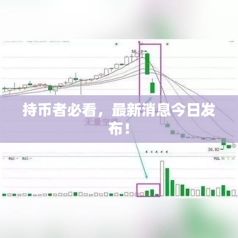 持幣者必看，最新消息今日發(fā)布！