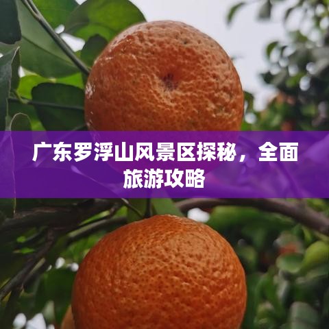廣東羅浮山風(fēng)景區(qū)探秘，全面旅游攻略