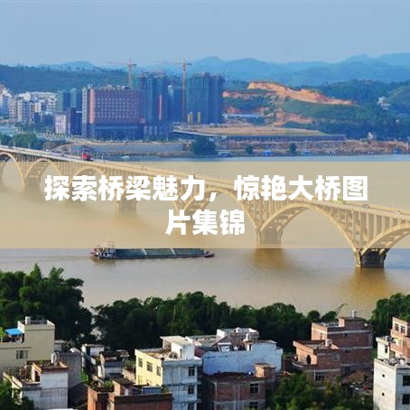 探索橋梁魅力，驚艷大橋圖片集錦