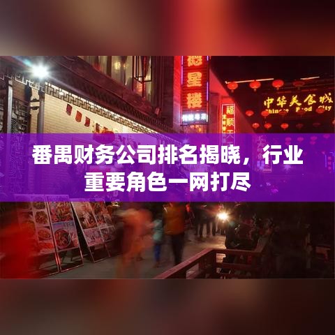 番禺財務公司排名揭曉，行業(yè)重要角色一網(wǎng)打盡