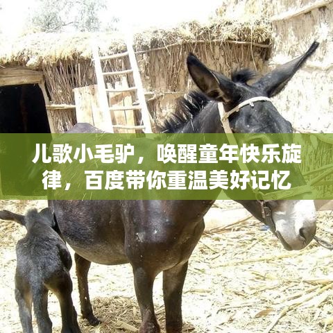 兒歌小毛驢，喚醒童年快樂(lè)旋律，百度帶你重溫美好記憶