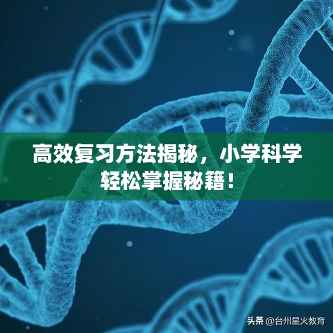 高效復(fù)習(xí)方法揭秘，小學(xué)科學(xué)輕松掌握秘籍！