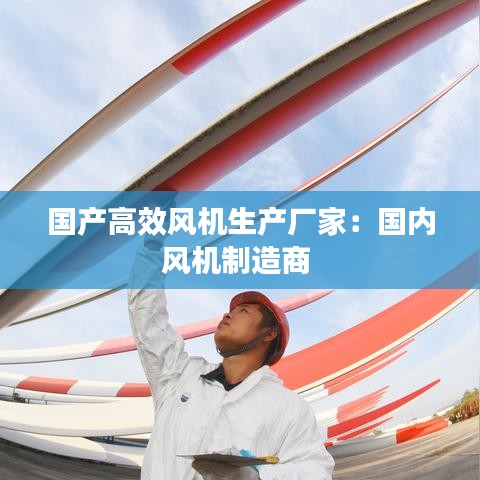 國(guó)產(chǎn)高效風(fēng)機(jī)生產(chǎn)廠家：國(guó)內(nèi)風(fēng)機(jī)制造商 