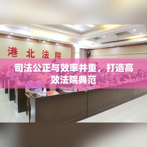 司法公正與效率并重，打造高效法院典范