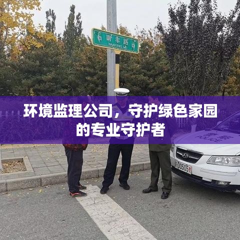 環(huán)境監(jiān)理公司，守護綠色家園的專業(yè)守護者