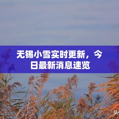 無錫小雪實時更新，今日最新消息速覽