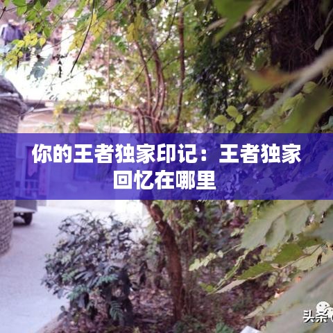 你的王者獨家印記：王者獨家回憶在哪里 