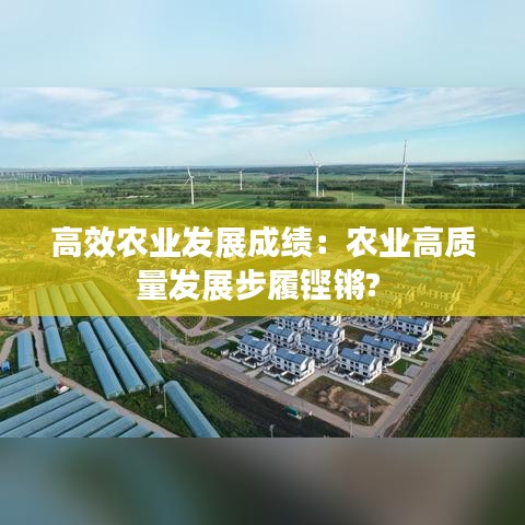 高效農(nóng)業(yè)發(fā)展成績：農(nóng)業(yè)高質(zhì)量發(fā)展步履鏗鏘? 