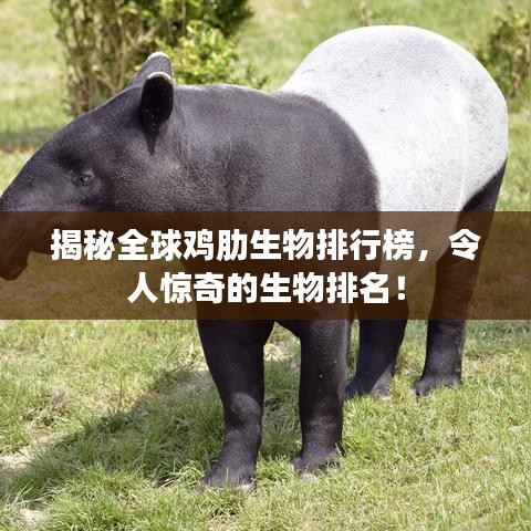 揭秘全球雞肋生物排行榜，令人驚奇的生物排名！