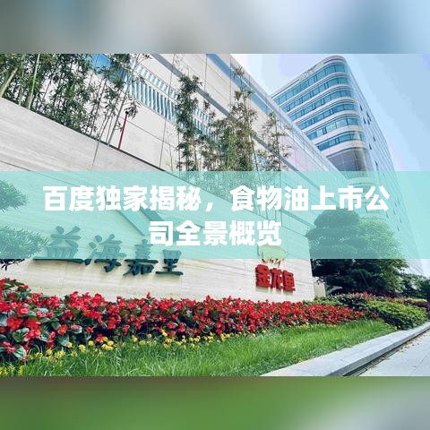 百度獨家揭秘，食物油上市公司全景概覽