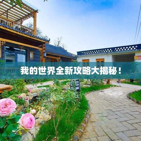 我的世界全新攻略大揭秘！