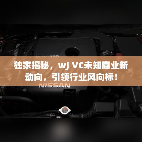獨(dú)家揭秘，wJ VC未知商業(yè)新動(dòng)向，引領(lǐng)行業(yè)風(fēng)向標(biāo)！