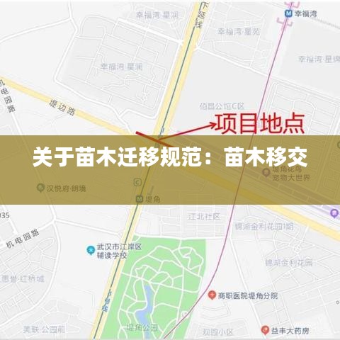 關于苗木遷移規(guī)范：苗木移交 