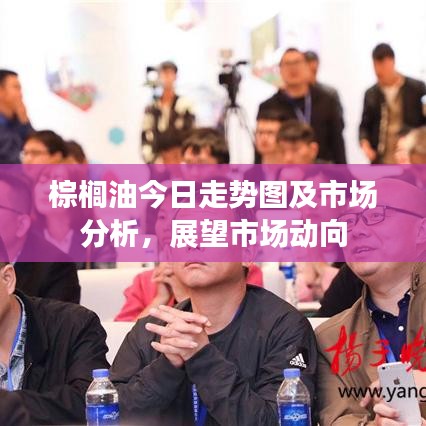 棕櫚油今日走勢(shì)圖及市場(chǎng)分析，展望市場(chǎng)動(dòng)向