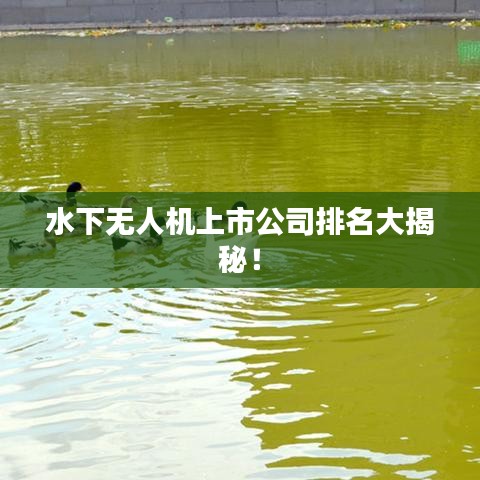 水下無人機(jī)上市公司排名大揭秘！