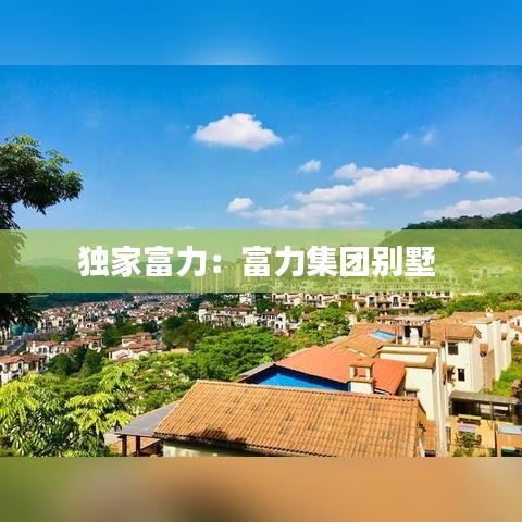 獨(dú)家富力：富力集團(tuán)別墅 