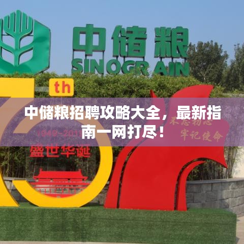 中儲(chǔ)糧招聘攻略大全，最新指南一網(wǎng)打盡！