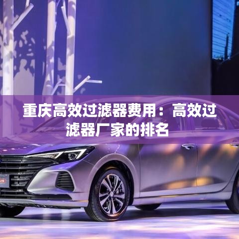 重慶高效過濾器費用：高效過濾器廠家的排名 