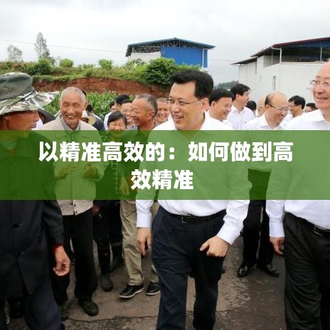 以精準高效的：如何做到高效精準 