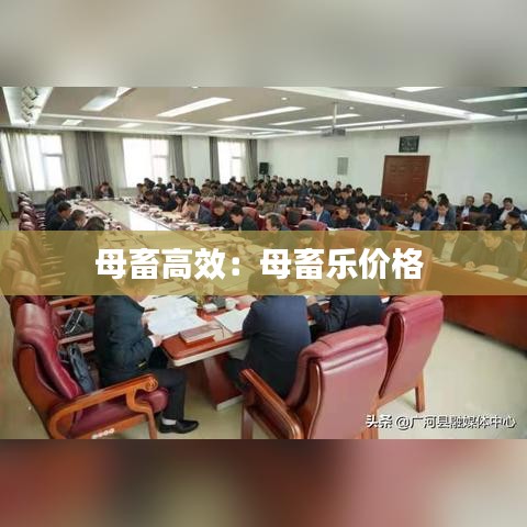 母畜高效：母畜樂(lè)價(jià)格 