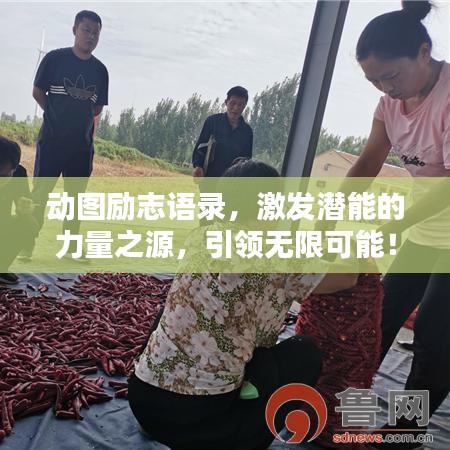 動圖勵志語錄，激發(fā)潛能的力量之源，引領(lǐng)無限可能！