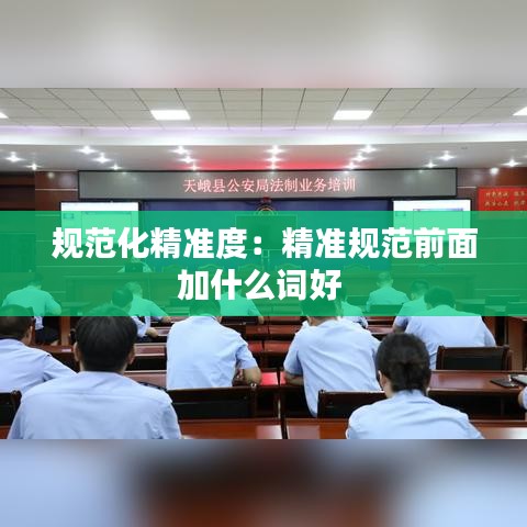 規(guī)范化精準(zhǔn)度：精準(zhǔn)規(guī)范前面加什么詞好 