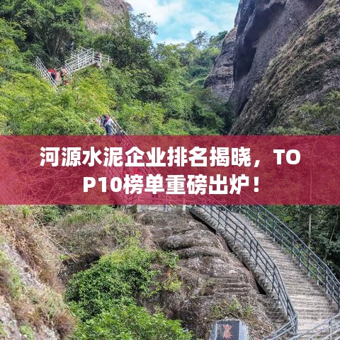 河源水泥企業(yè)排名揭曉，TOP10榜單重磅出爐！