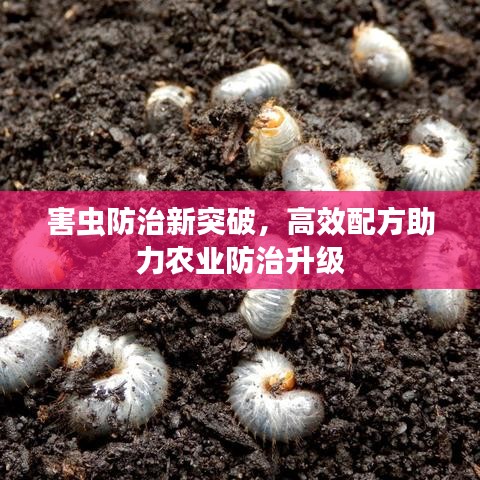 害蟲防治新突破，高效配方助力農(nóng)業(yè)防治升級