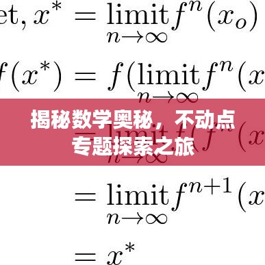 揭秘數(shù)學(xué)奧秘，不動點專題探索之旅