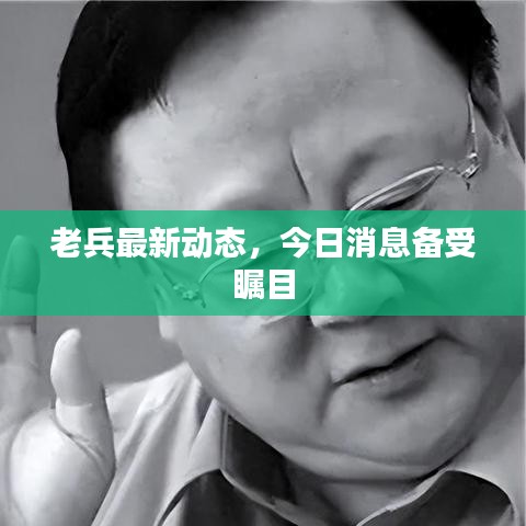 老兵最新動態(tài)，今日消息備受矚目